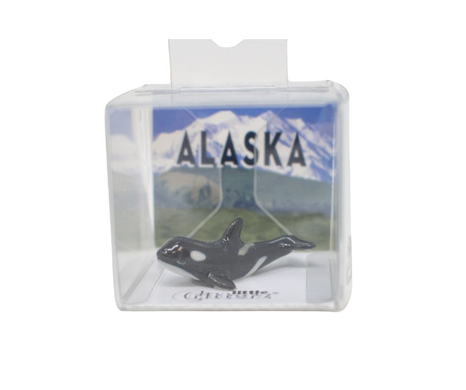Black and white Orca figurine in an Alaskan themed box