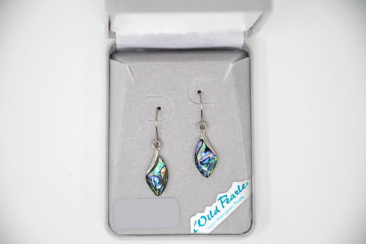 Pair of earrings in a branded box on a white background