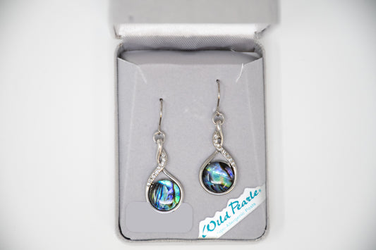 Pair of silver earrings with colorful design in a branded box