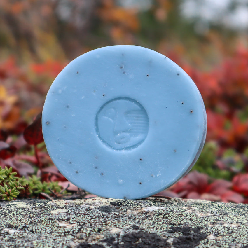 BLUEBERRY BAR SOAP