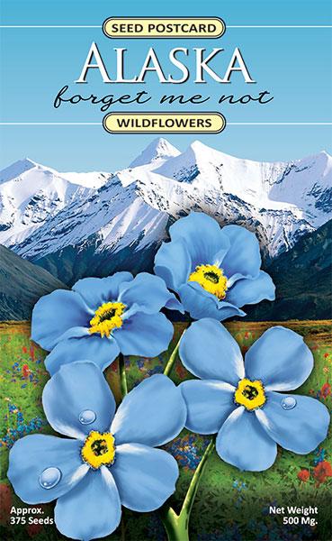 Alaska forget-me-not wildflowers seed postcard with mountain background