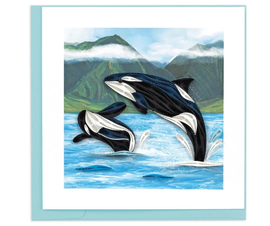 Two orcas jumping out of water with mountains in the background