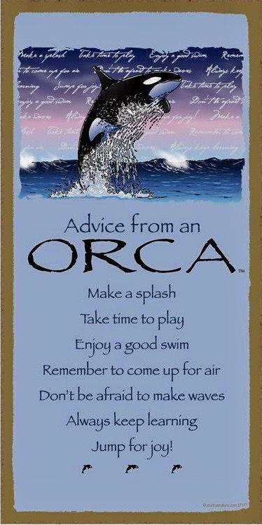 ADVICE FROM AN ORCA WOODEN SIGN