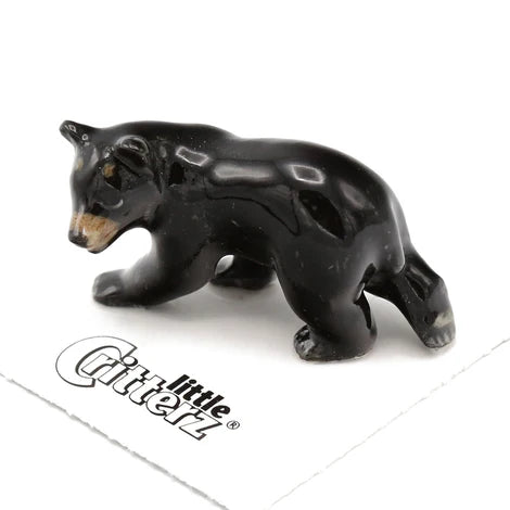 Little Critter "Blueberry" Black Bear