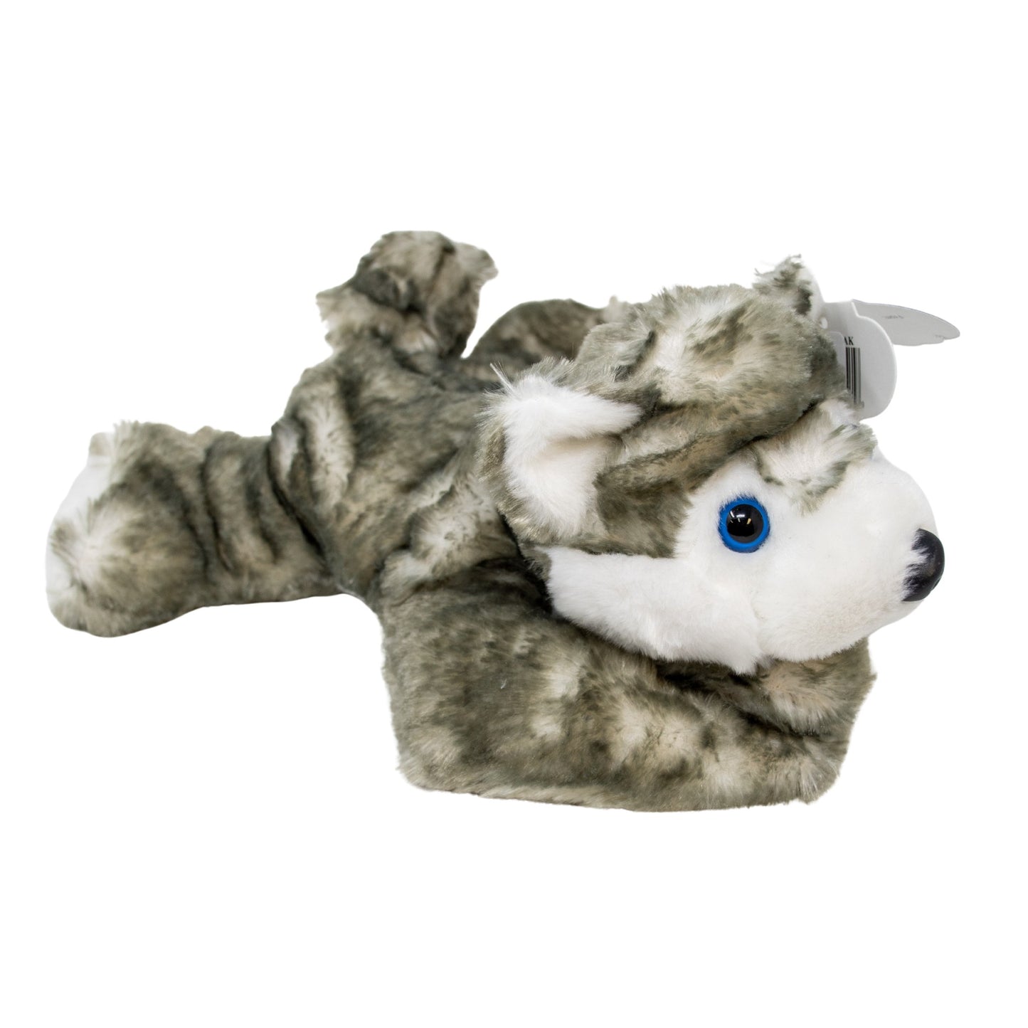 Plush toy husky on a white background