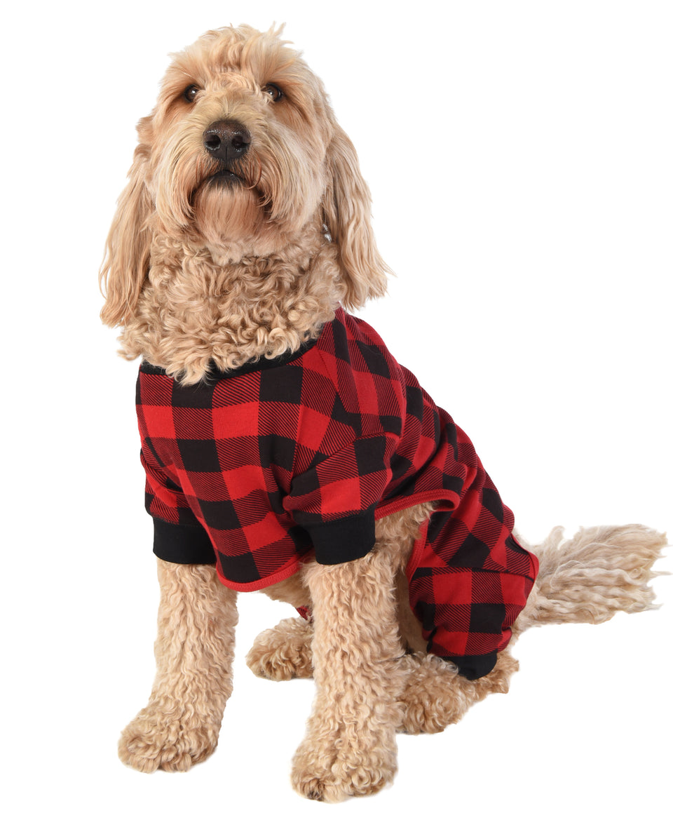 Dog wearing a red and black checkered outfit on a white background
