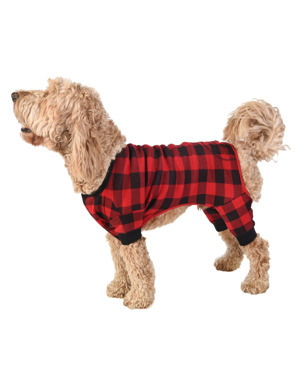 Dog wearing a red and black checkered pajama set on a white background