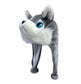 Plush wolf hat with gray and white fur on a white background