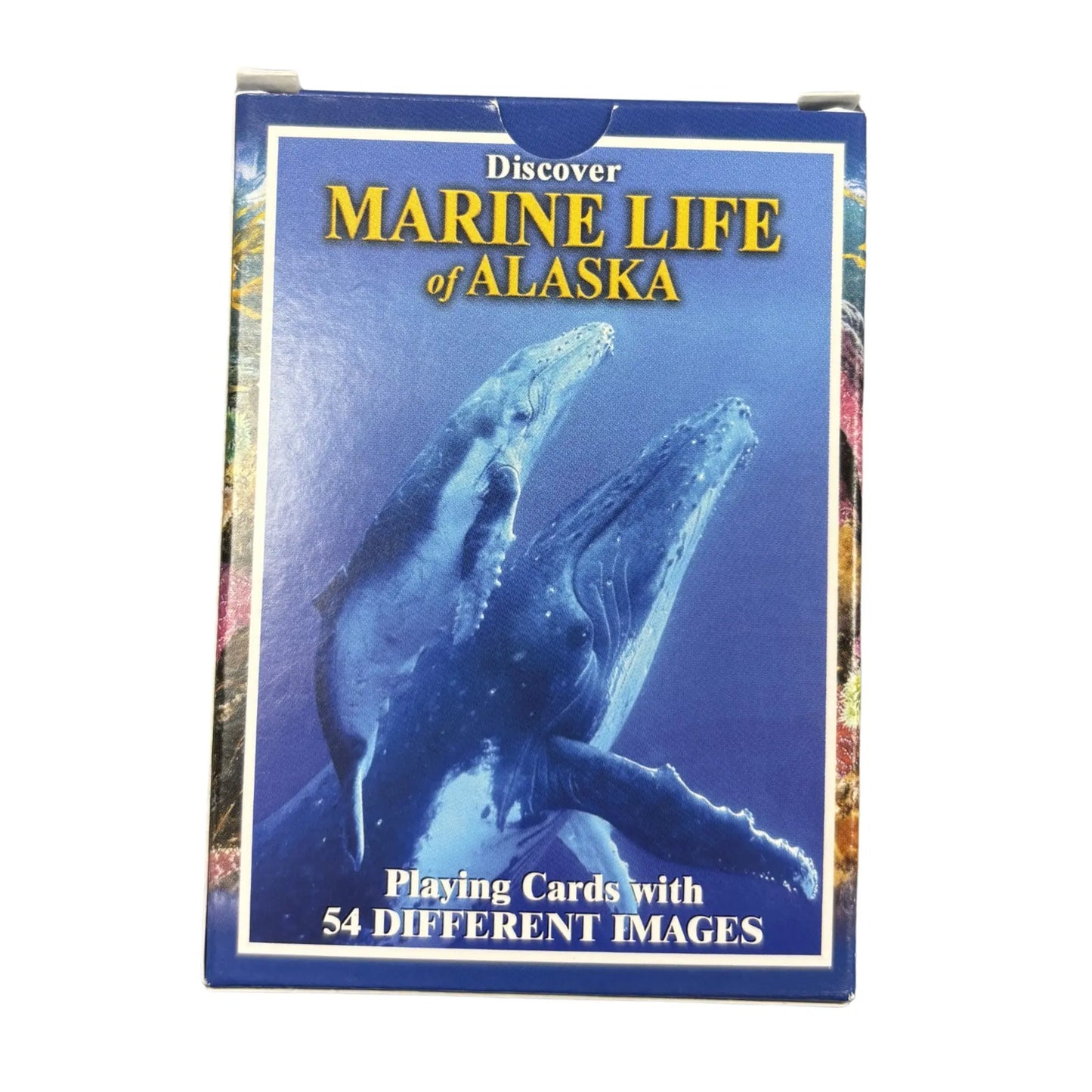 Discover Marine Life Playing Cards
