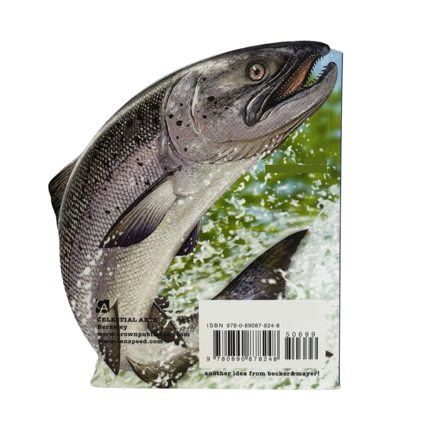 Back of totally salmon cookbook