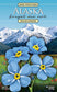 Alaska forget-me-not wildflowers seed postcard with mountain background