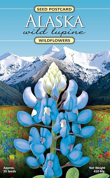Alaska wild lupine seed postcard with blue flowers and mountain background