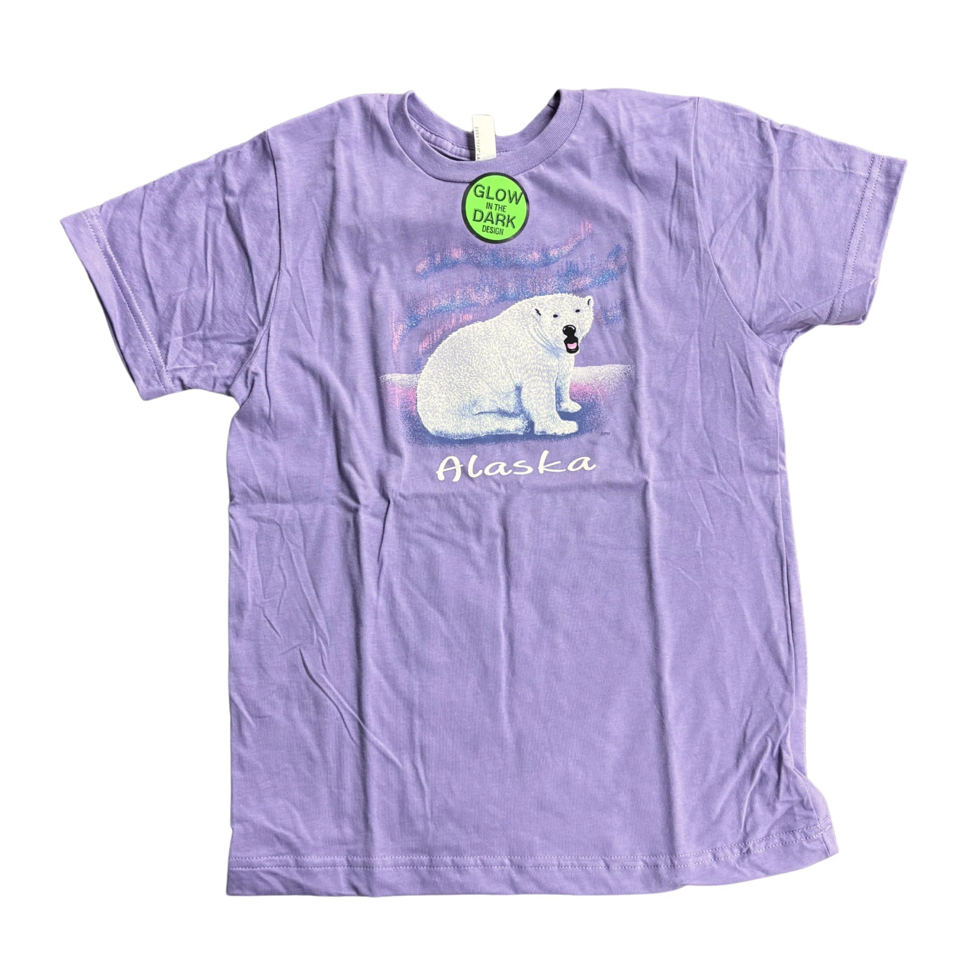 Purple t-shirt with a polar bear graphic and 'Alaska' text on a white background