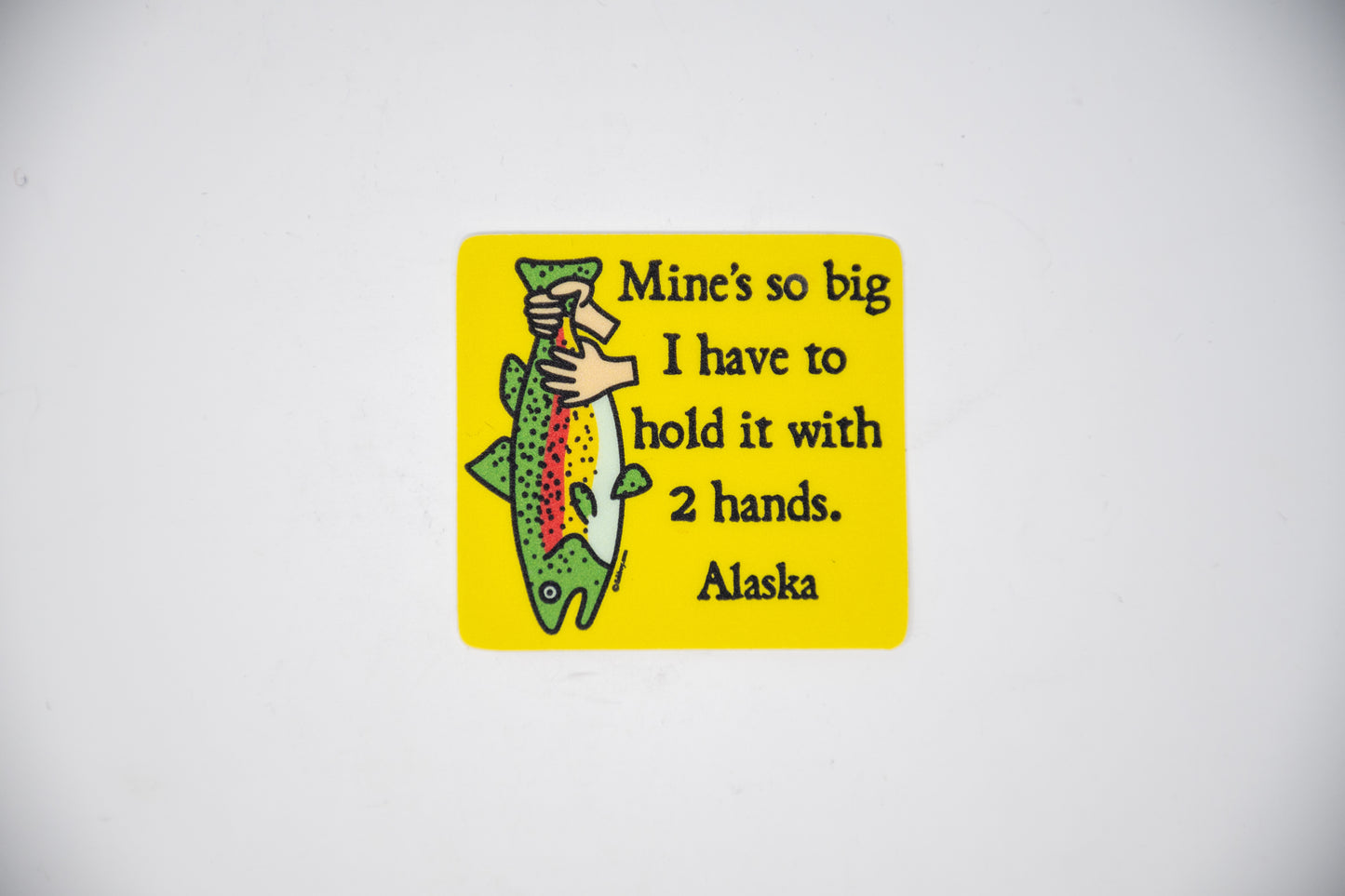 TWO HANDS MINI STICKER