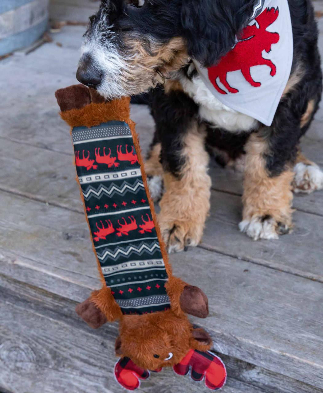 Dog playing with a moose-themed toy on a wooden deck