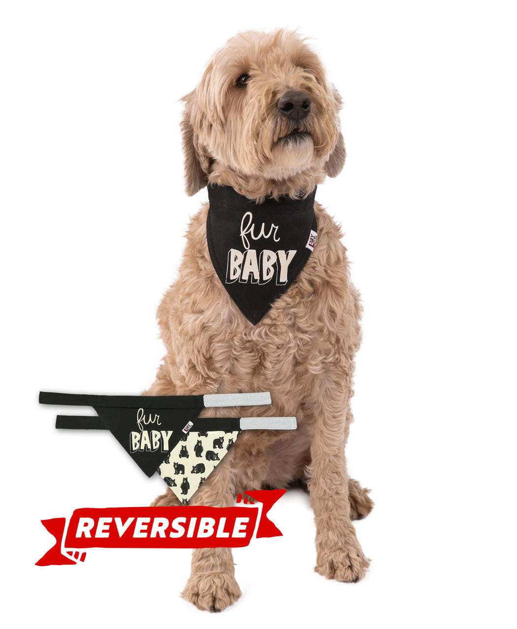 Dog wearing a reversible bandana with text and patterns on a white background