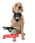 Dog wearing a reversible bandana with text and patterns on a white background