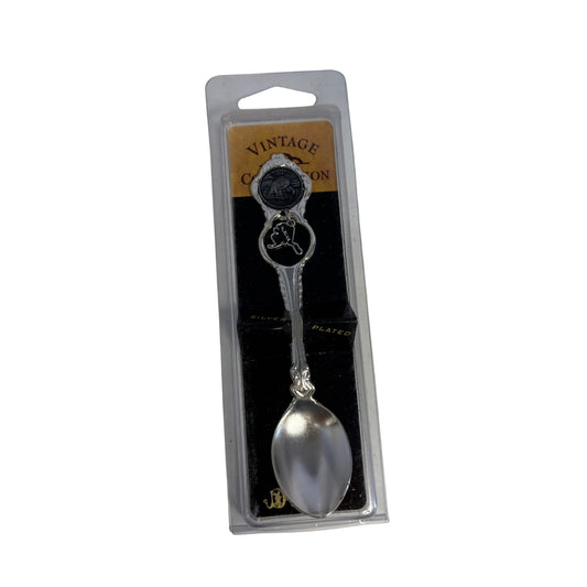 Silver spoon with decorative handle in packaging on a white background
