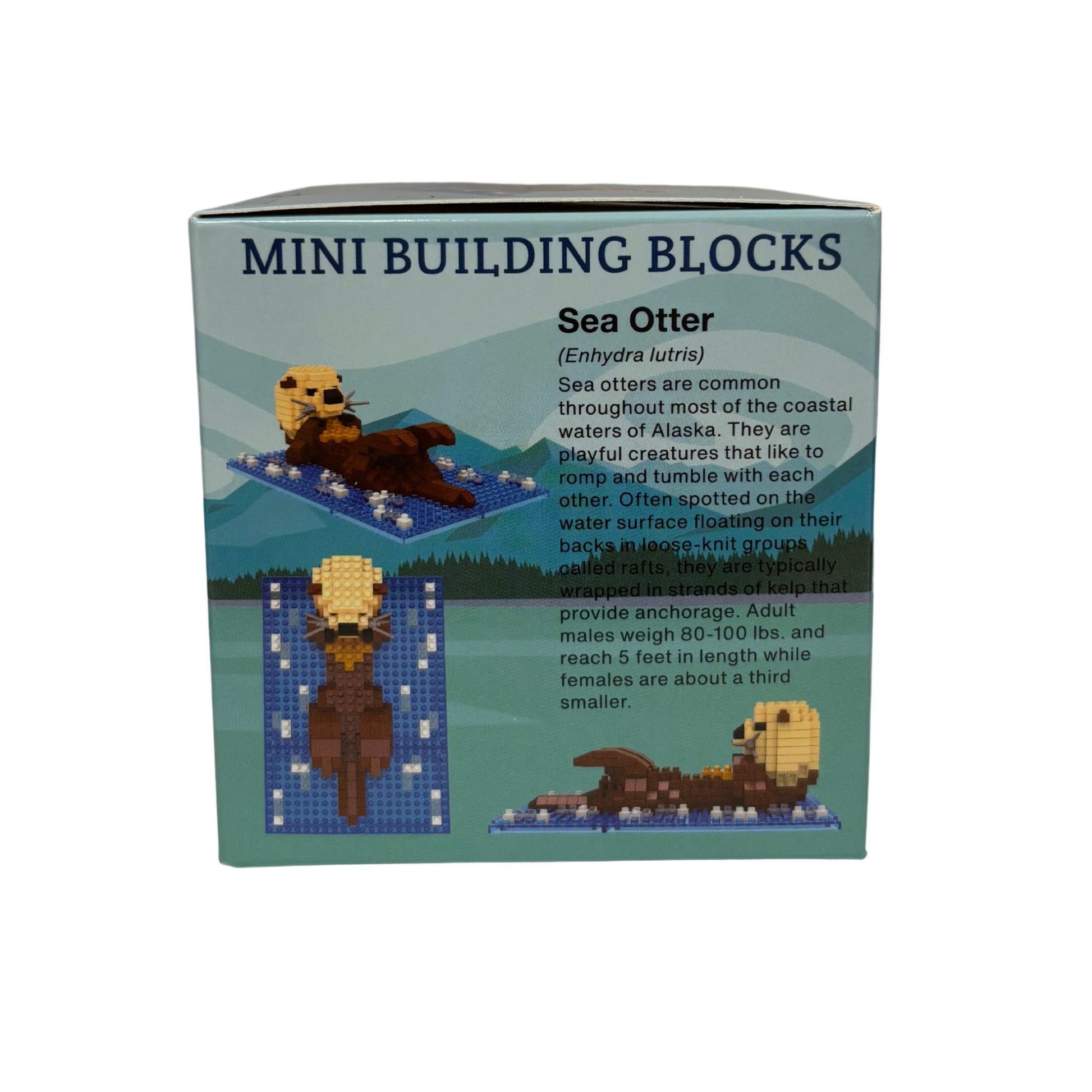 Box of mini building blocks featuring sea otter illustrations and text.