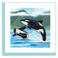 ORCA WHALES NOTE CARD
