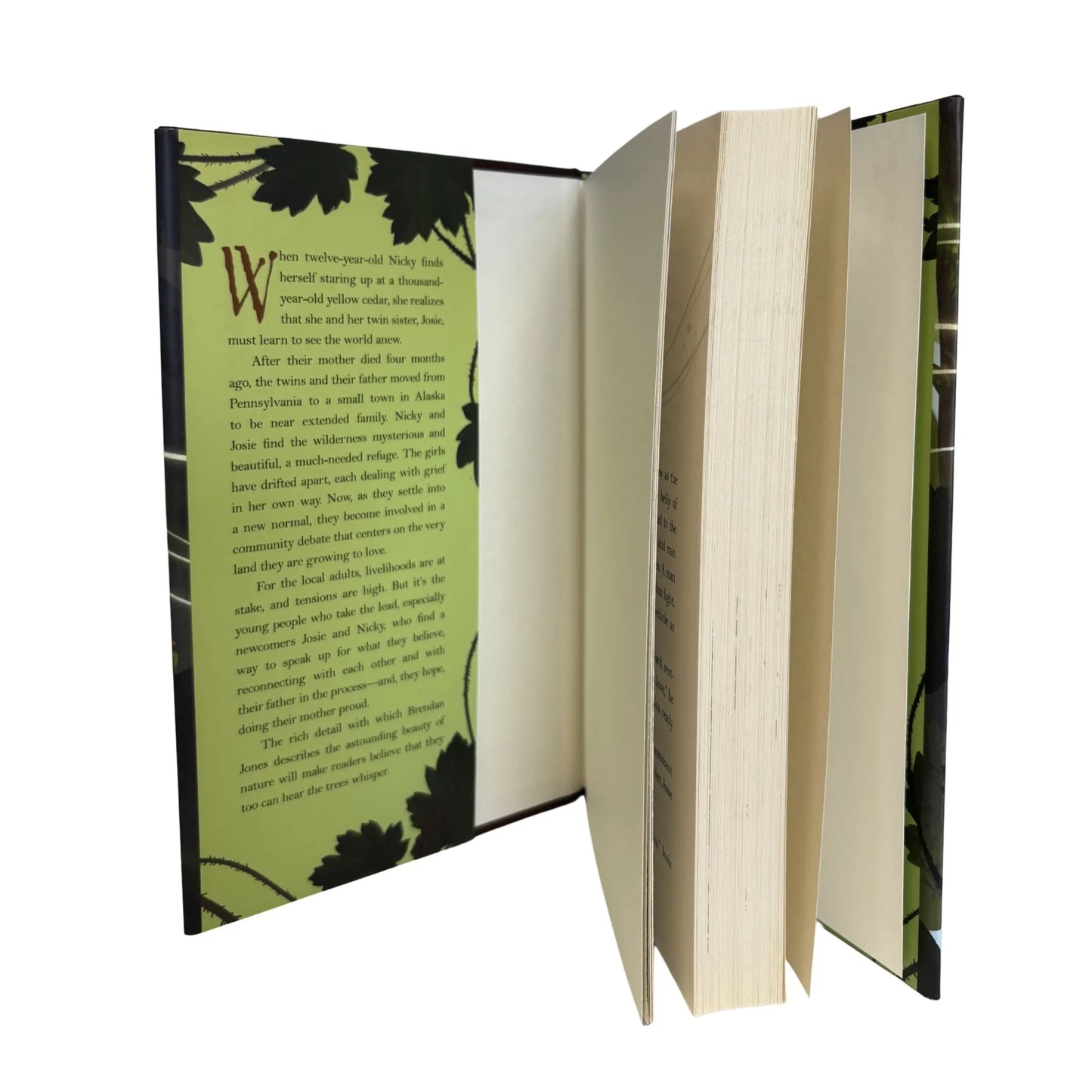Open book with green floral design