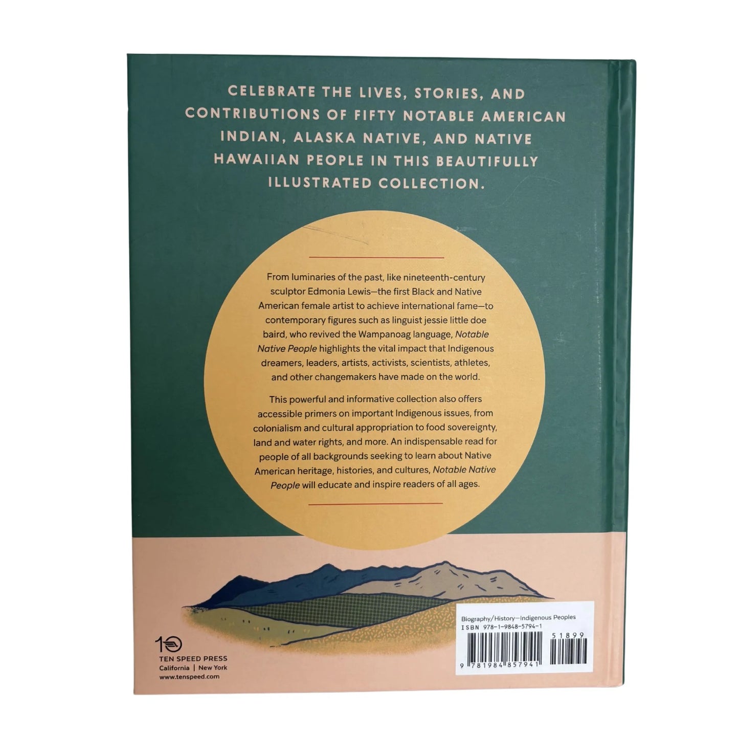 Book cover with text and mountain illustration on a green and beige background