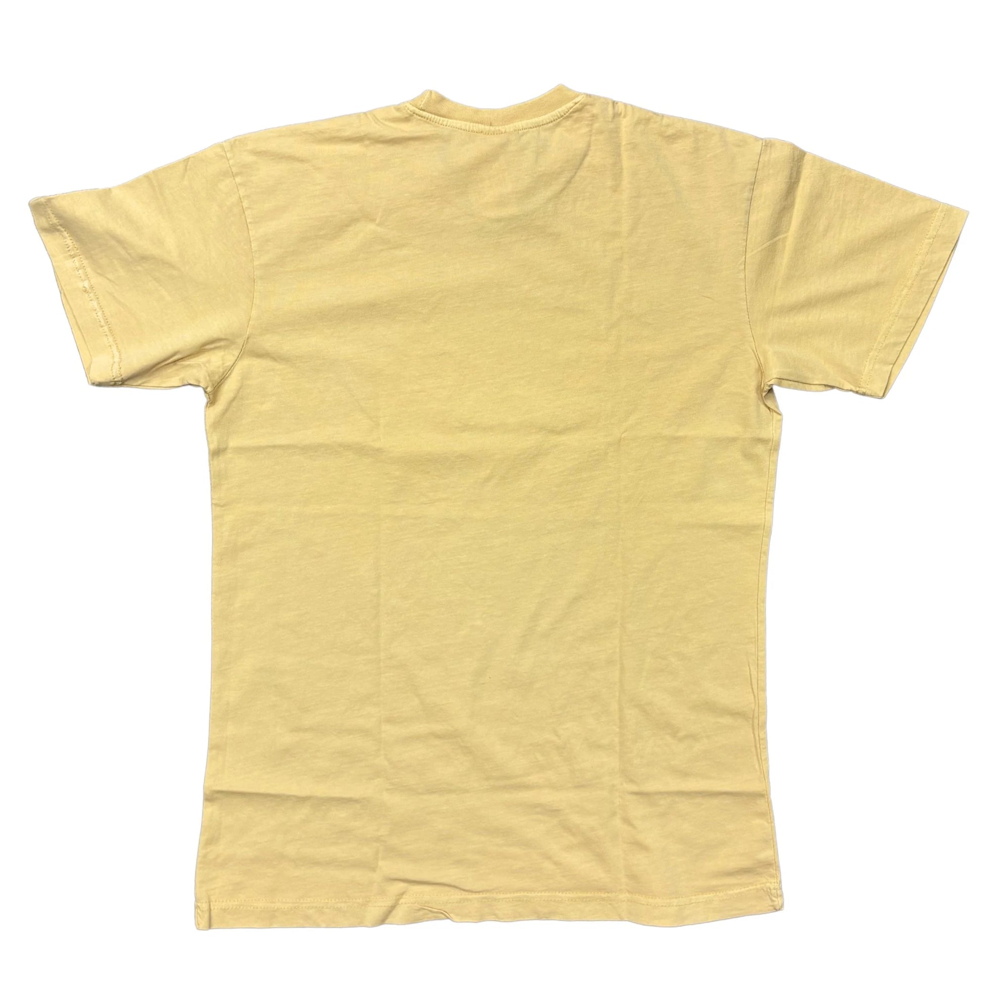 Back of t-shirt on a white background