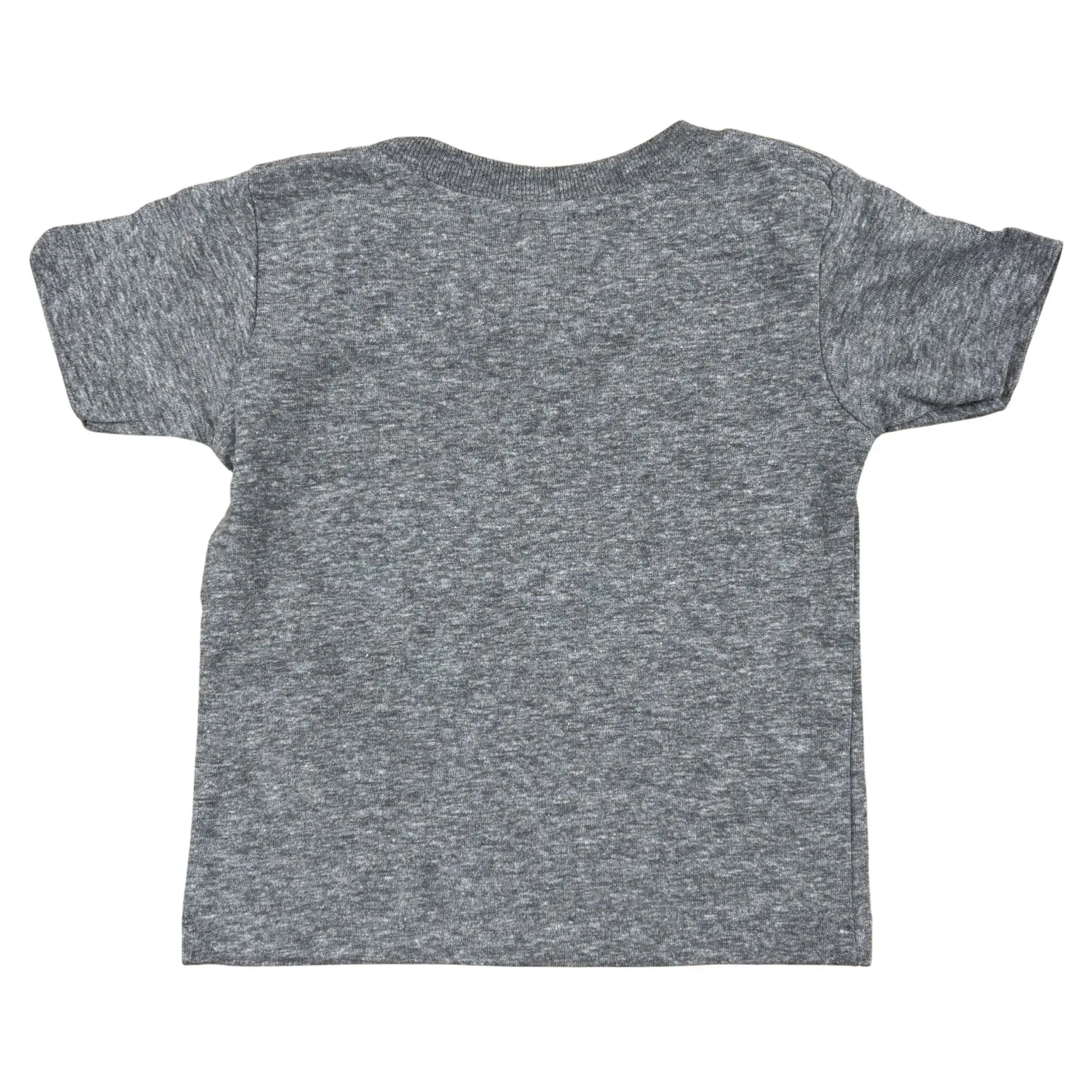 Gray t-shirt on a white background