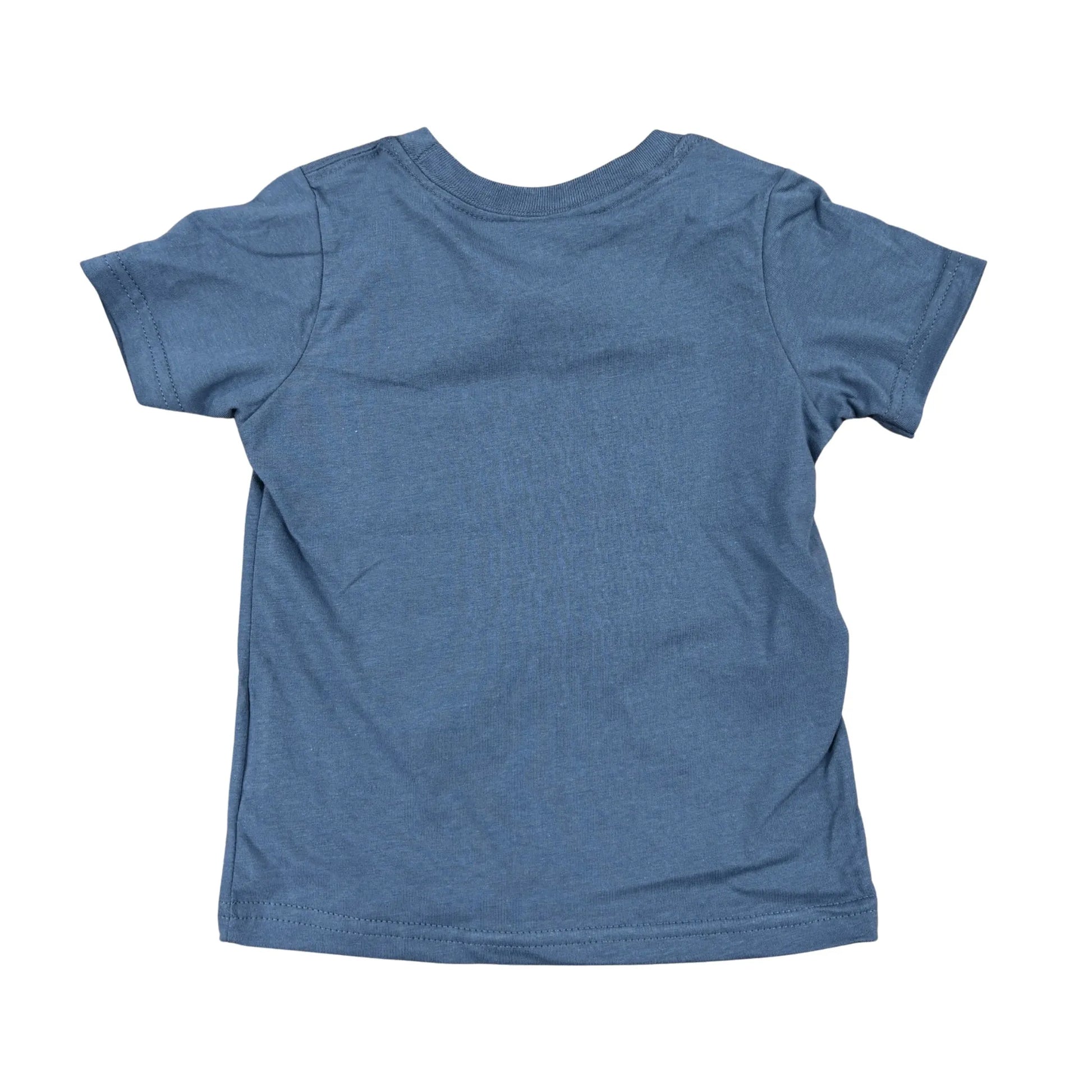 Back of blue t-shirt on a white background