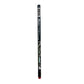 Alaska Pencil with "Inside Passage text"