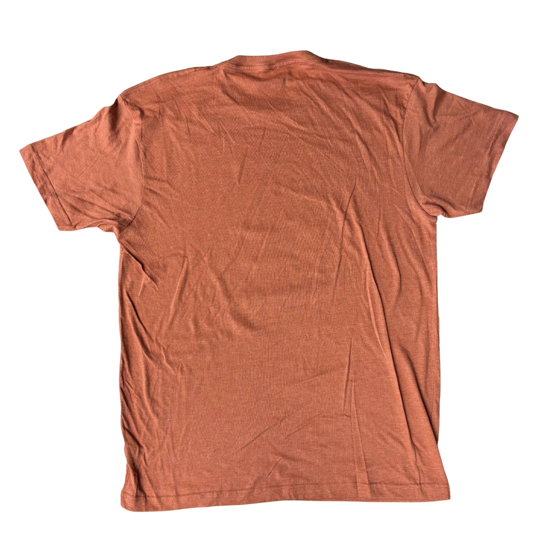 Back view of a t-shirt