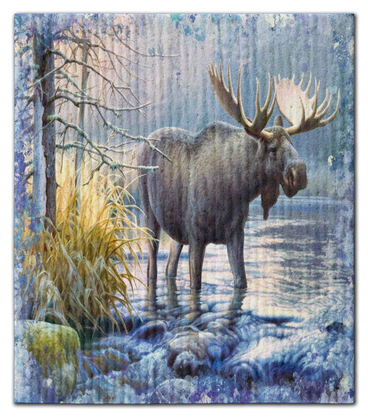 WATERCOLOR MOOSE ECO DISHCLOTH