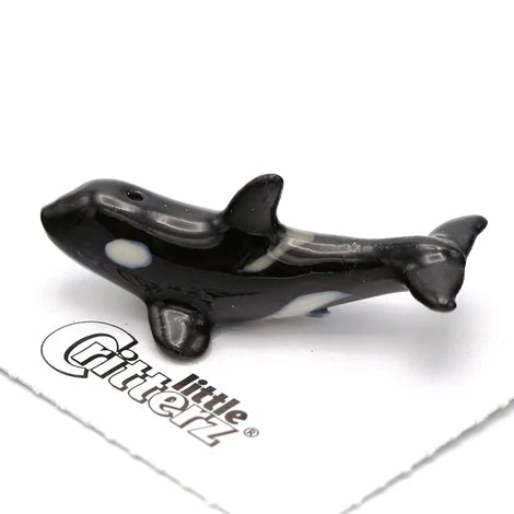 LITTLE CRITTER "SEAWOLF" ORCA