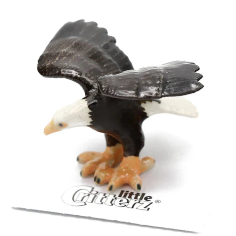 LITTLE CRITTER "ARI" EAGLE