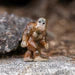 LITTLE CRITTER "BIGFOOT" SASQUATCH