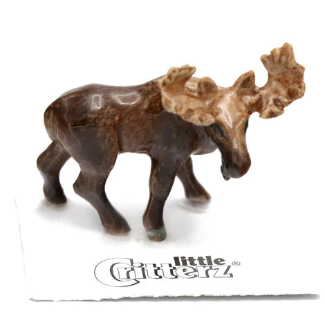 Small moose figurine on a white background with 'Little Critterz' branding.