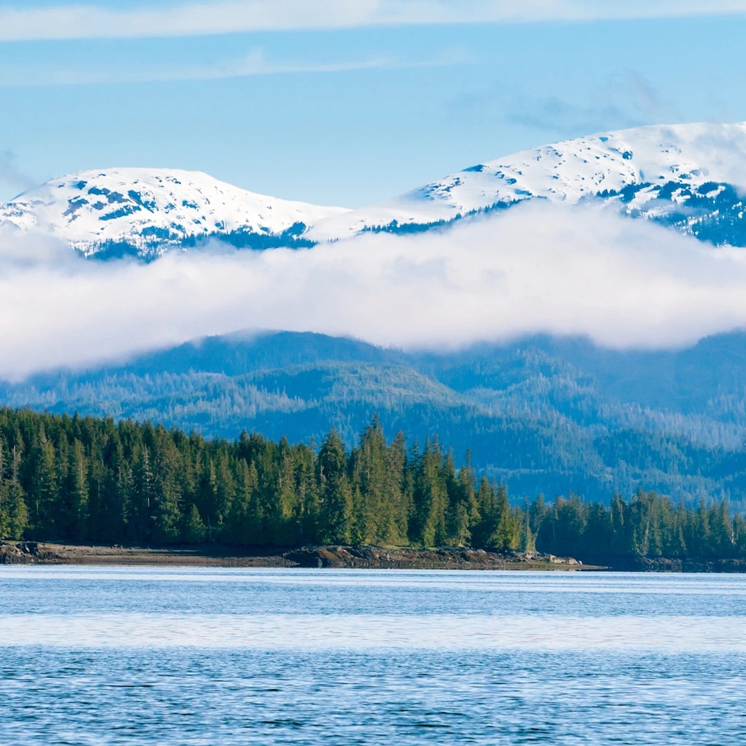 Scenic view of mountains with snow and trees, overlooking a calm body of water.