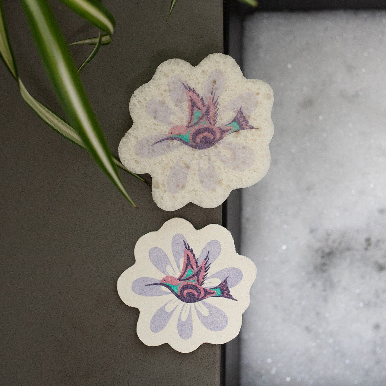 HUMMINGBIRD ECO SPONGE