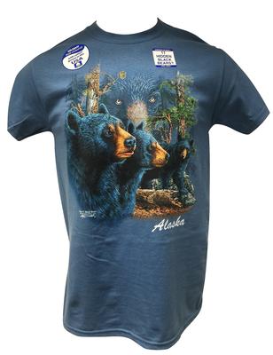Find 11 Black Bears