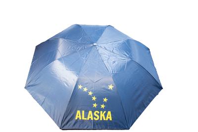 Navy Big Dipper Umbrella