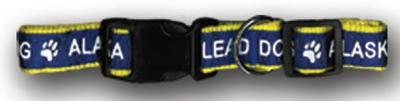 Pet Collar Lead Dog S/m