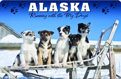 Placemat Sled Dogs