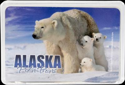 Polar Bear Playing Cards