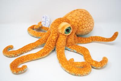 Small Octopus
