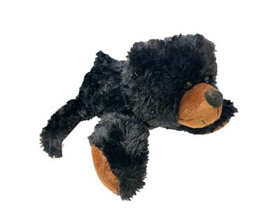Black Bear