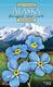  Postcard Seed Pack - Forget- Me- Not