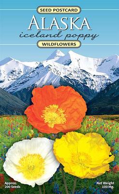 Postcard Seed Pack - Icelandic Poppy
