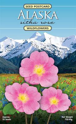 Postcard Seed Pack - Sitka Rose