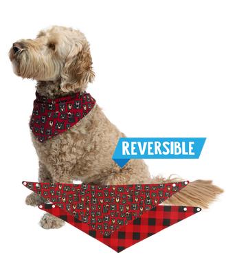 Dog Bandana - Don`t Wake The Bear