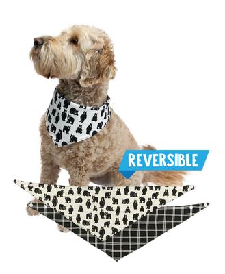 Dog Bandana - Family Bear